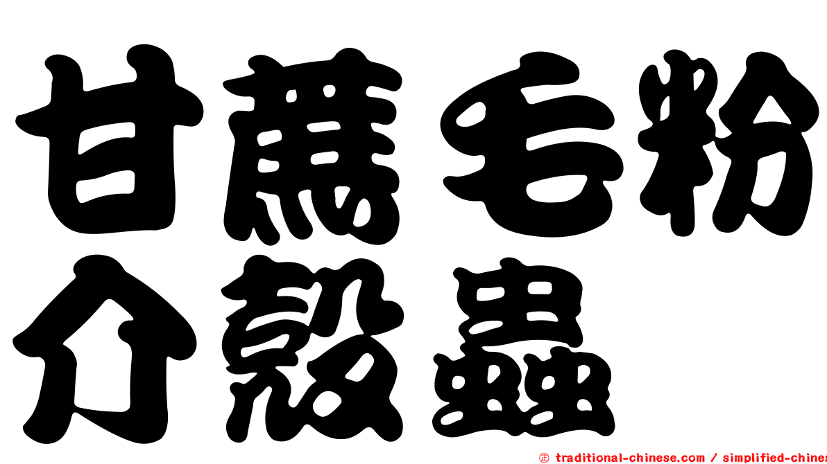 甘蔗毛粉介殼蟲