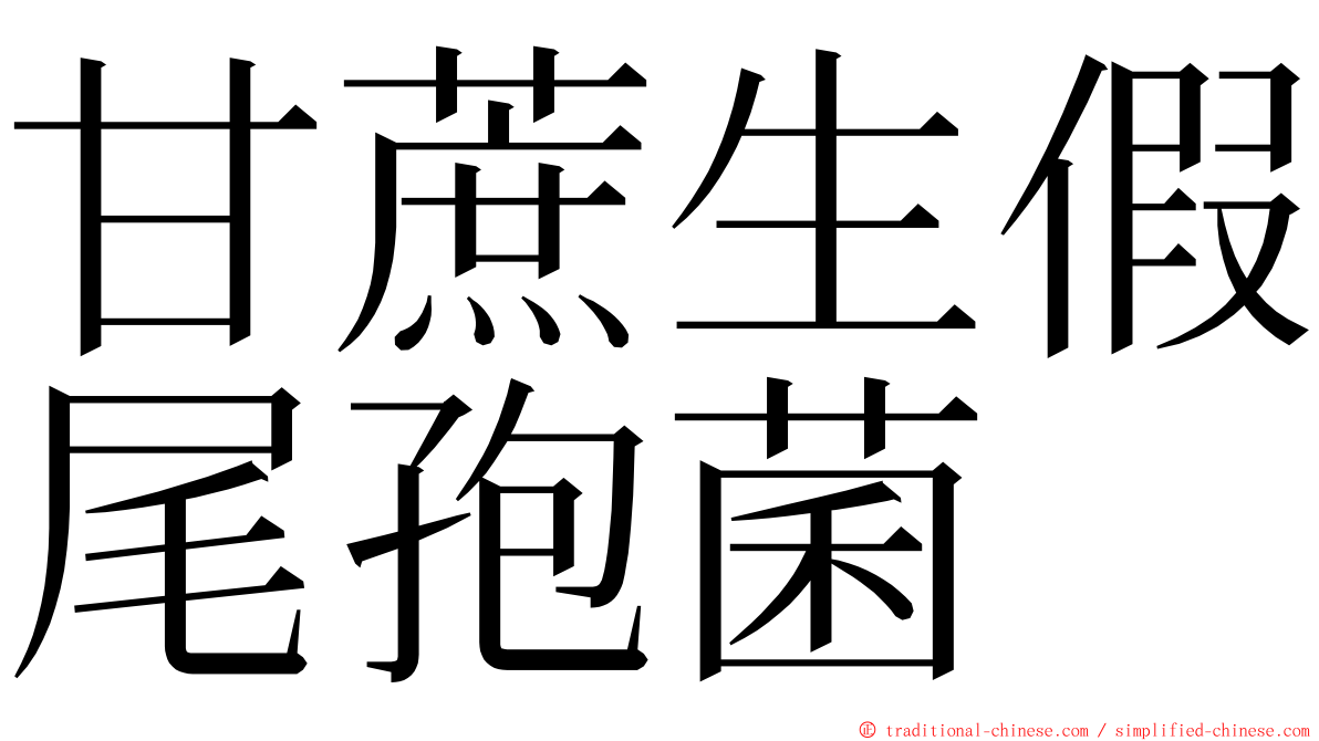 甘蔗生假尾孢菌 ming font