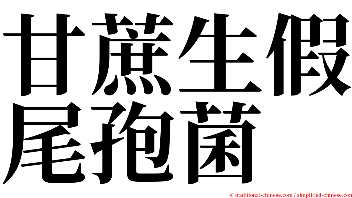 甘蔗生假尾孢菌 serif font