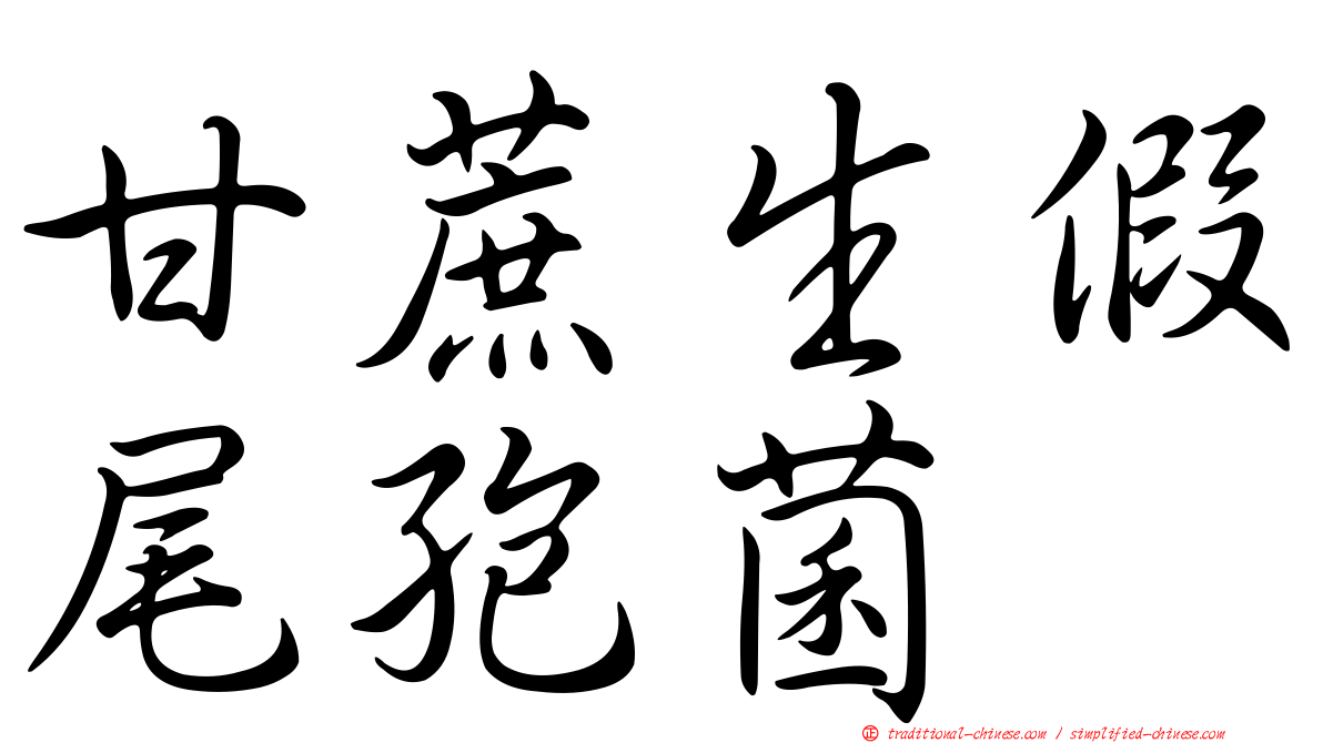 甘蔗生假尾孢菌
