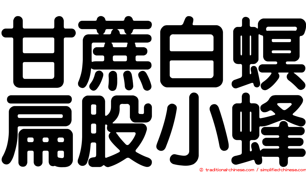 甘蔗白螟扁股小蜂