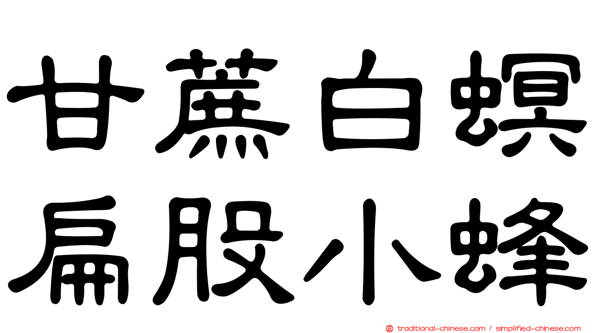 甘蔗白螟扁股小蜂