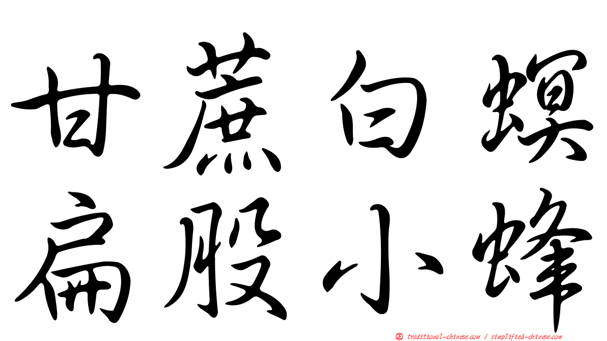 甘蔗白螟扁股小蜂