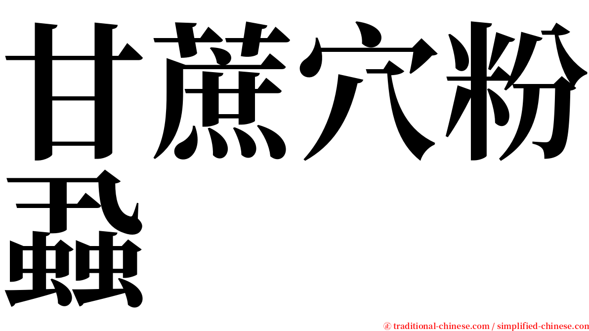 甘蔗穴粉蝨 serif font