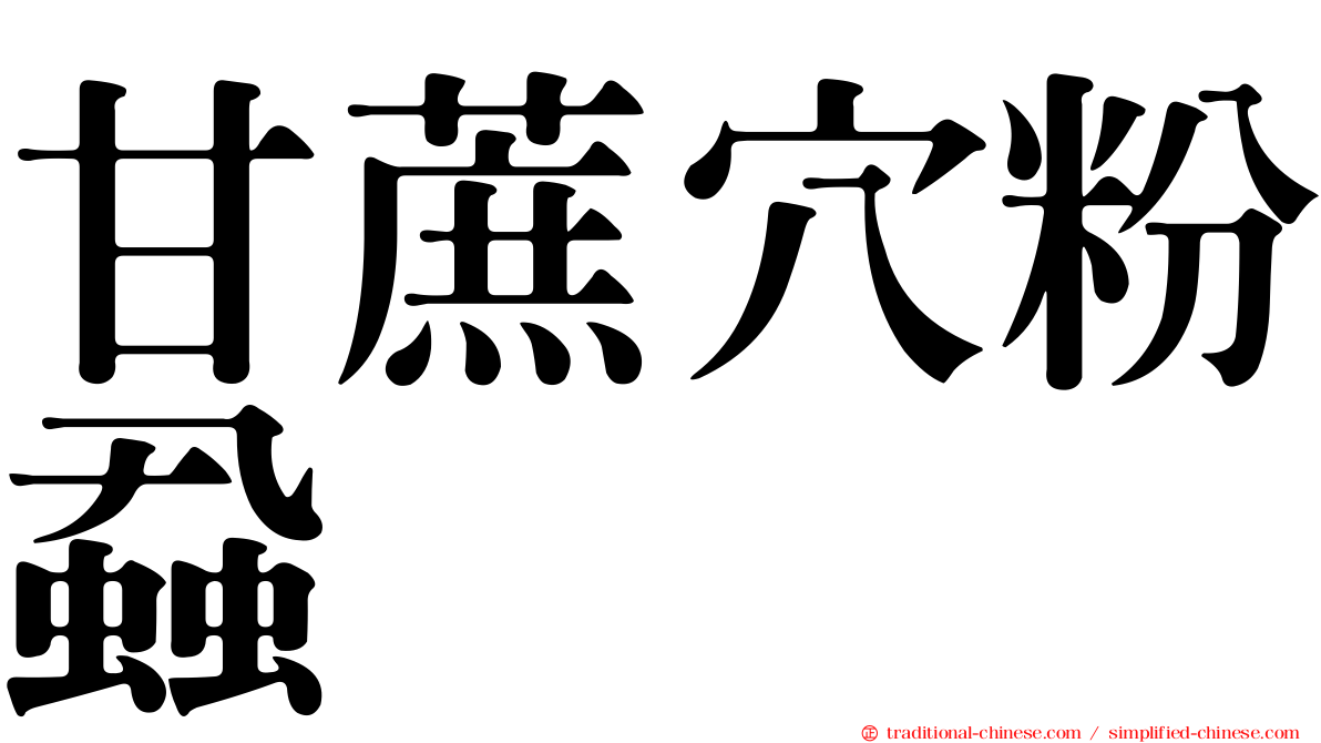 甘蔗穴粉蝨