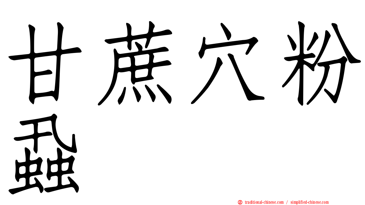 甘蔗穴粉蝨