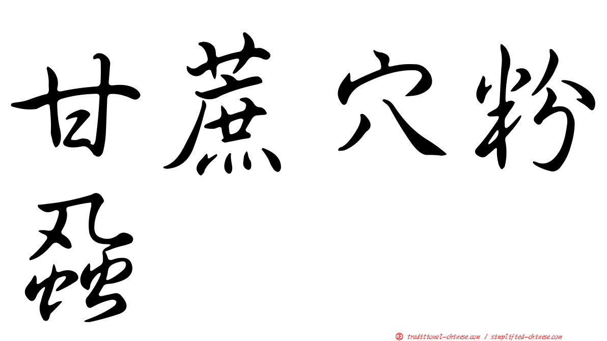 甘蔗穴粉蝨