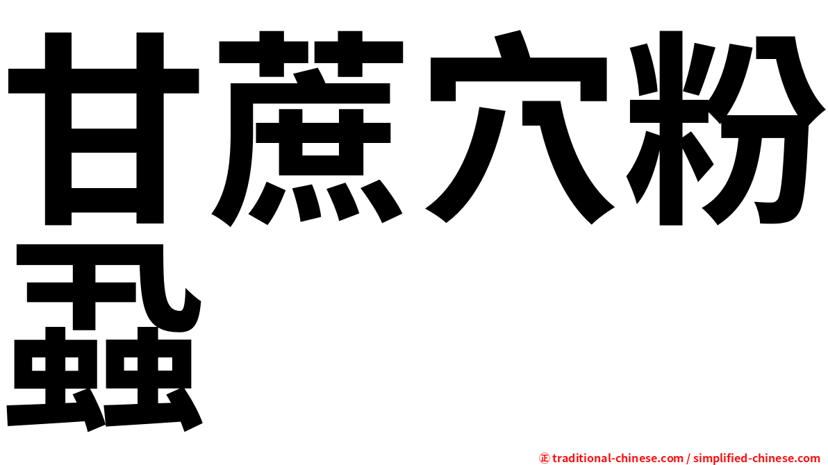 甘蔗穴粉蝨