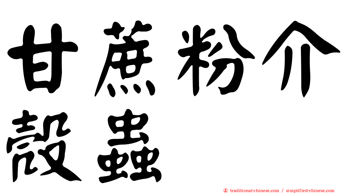 甘蔗粉介殼蟲