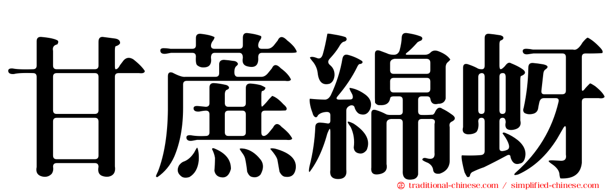 甘蔗綿蚜