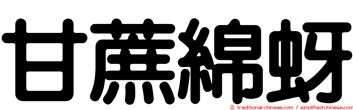 甘蔗綿蚜