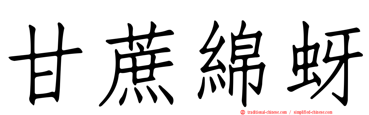 甘蔗綿蚜