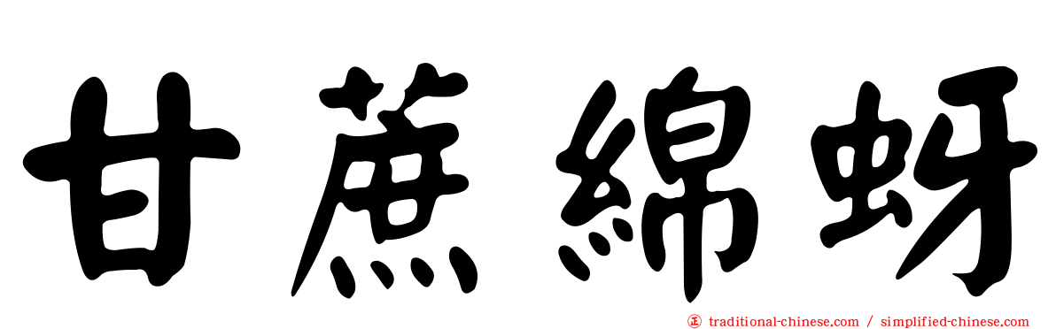 甘蔗綿蚜