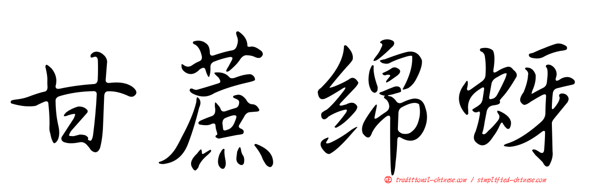 甘蔗綿蚜