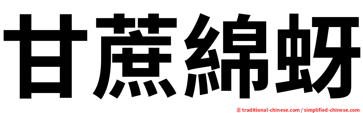 甘蔗綿蚜