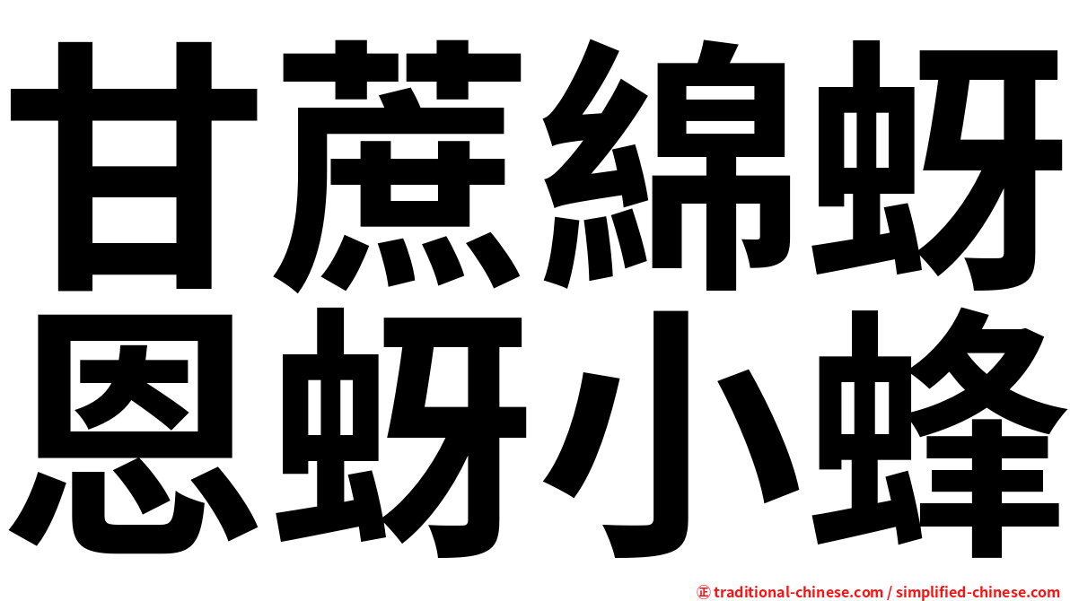 甘蔗綿蚜恩蚜小蜂