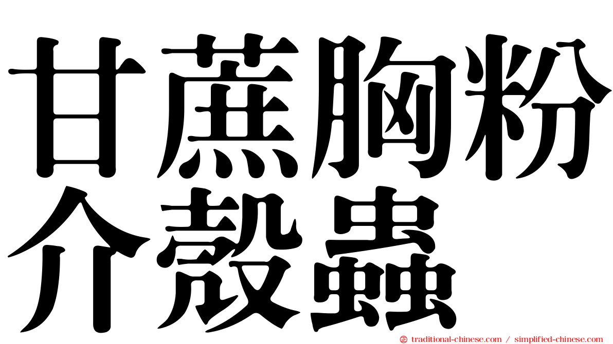 甘蔗胸粉介殼蟲