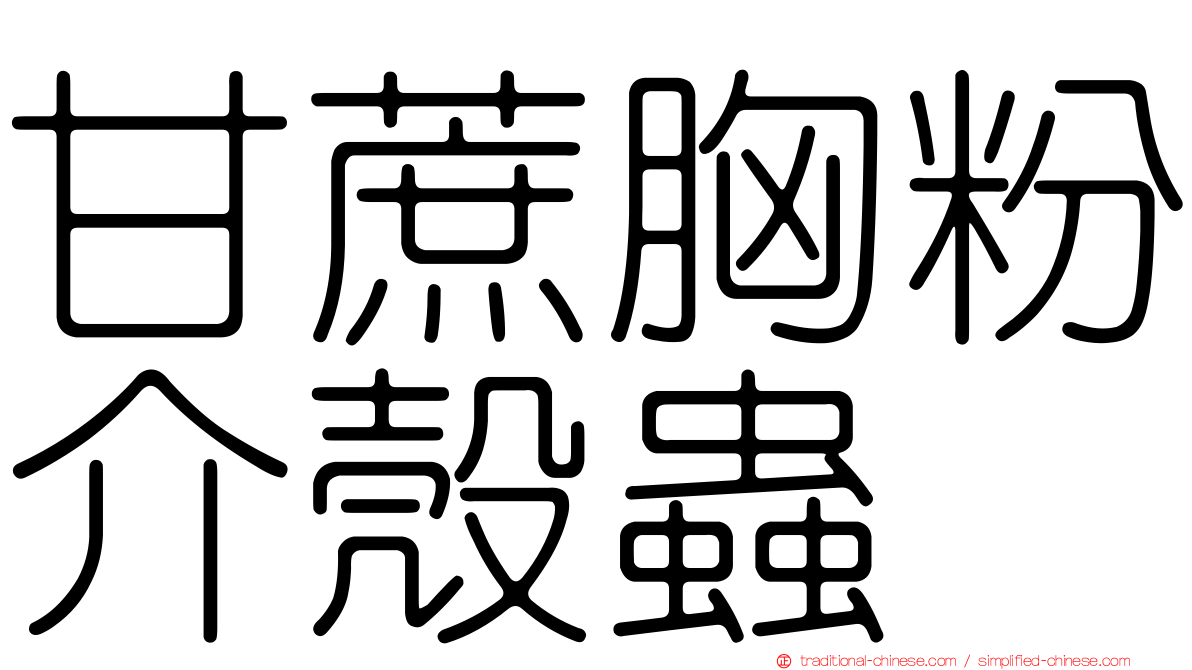 甘蔗胸粉介殼蟲
