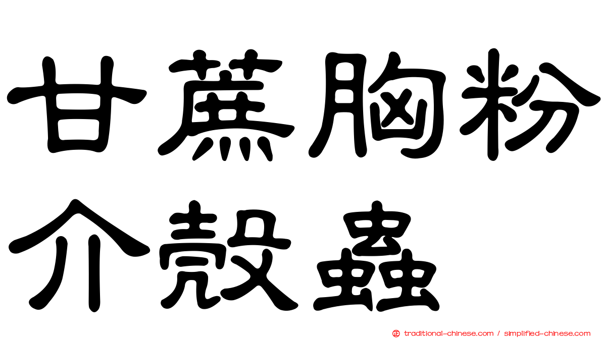 甘蔗胸粉介殼蟲
