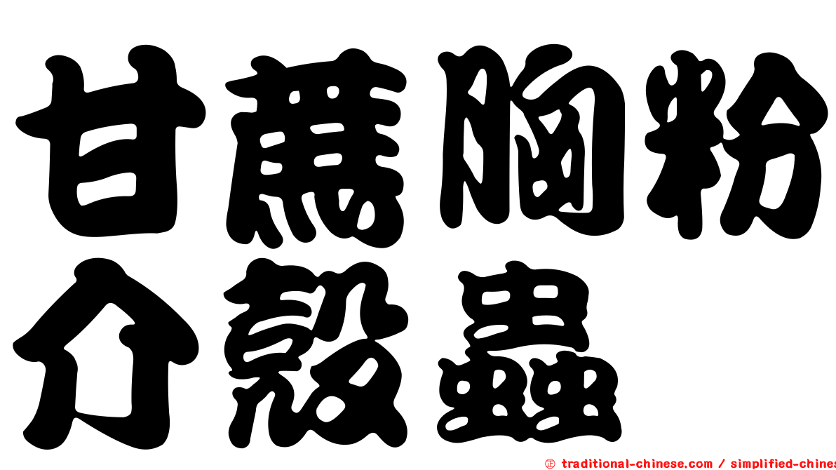 甘蔗胸粉介殼蟲