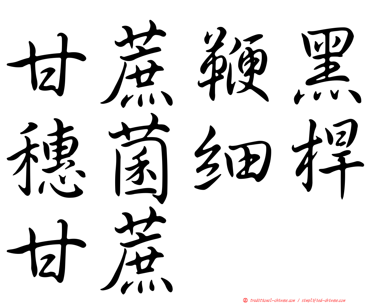 甘蔗鞭黑穗菌細桿甘蔗