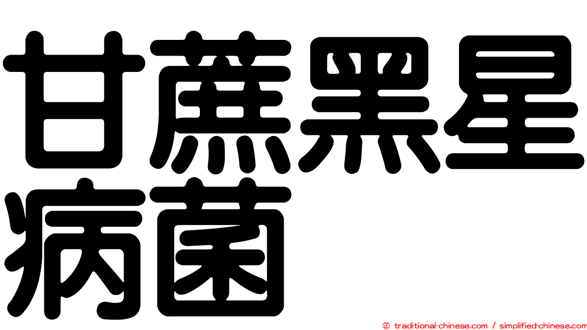 甘蔗黑星病菌