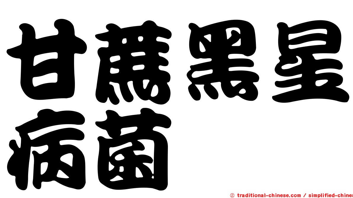 甘蔗黑星病菌