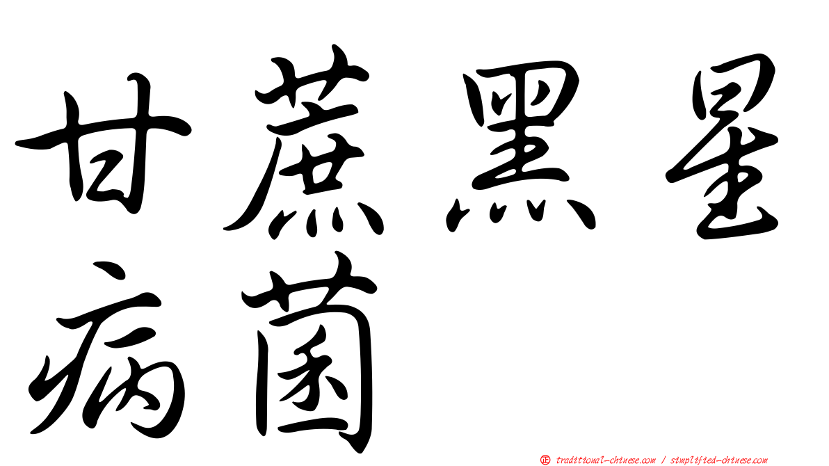 甘蔗黑星病菌