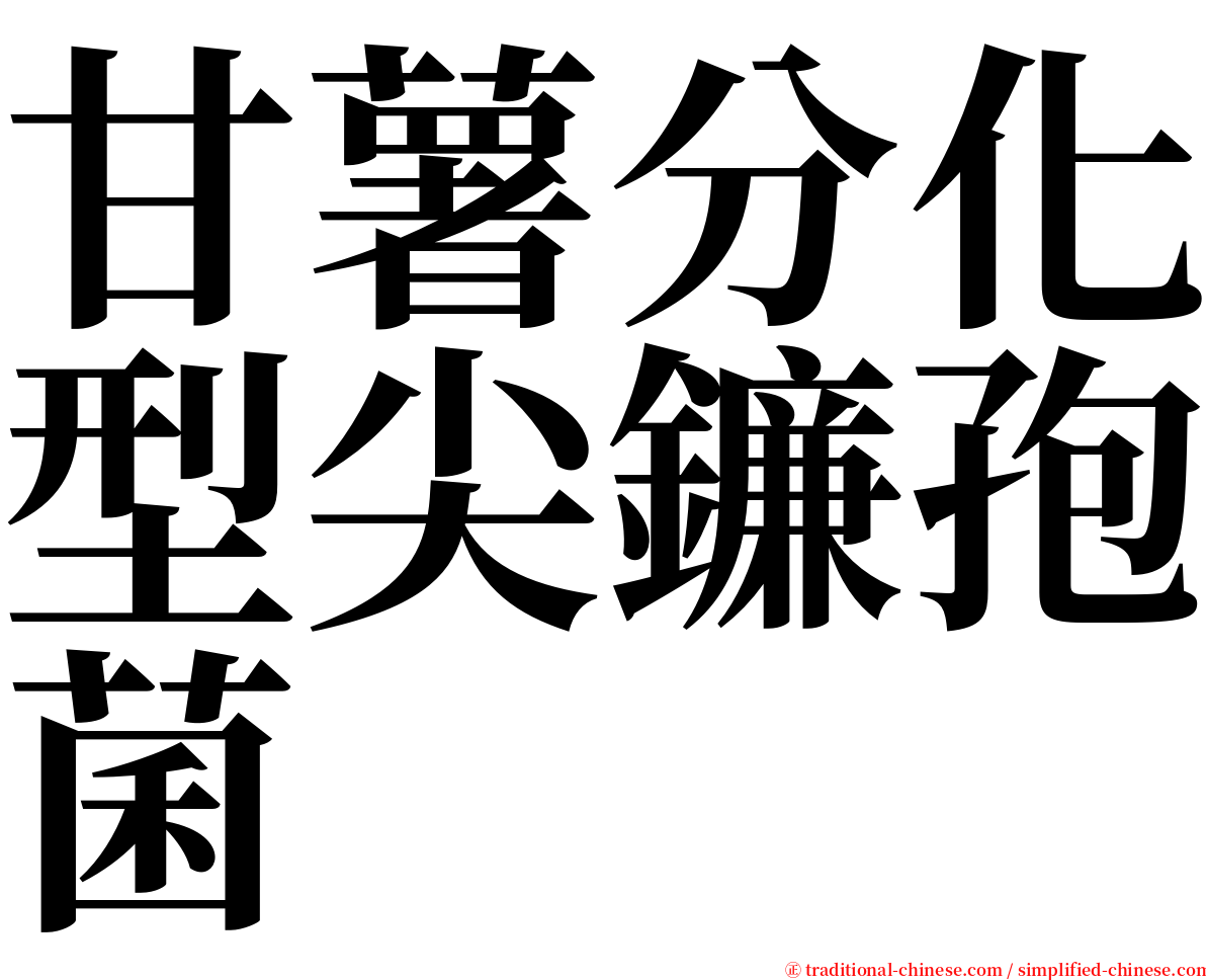 甘薯分化型尖鐮孢菌 serif font
