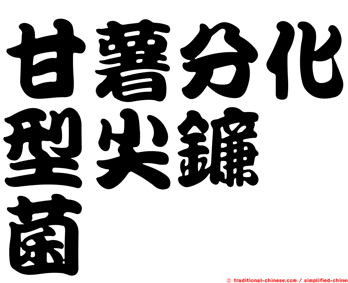甘薯分化型尖鐮孢菌
