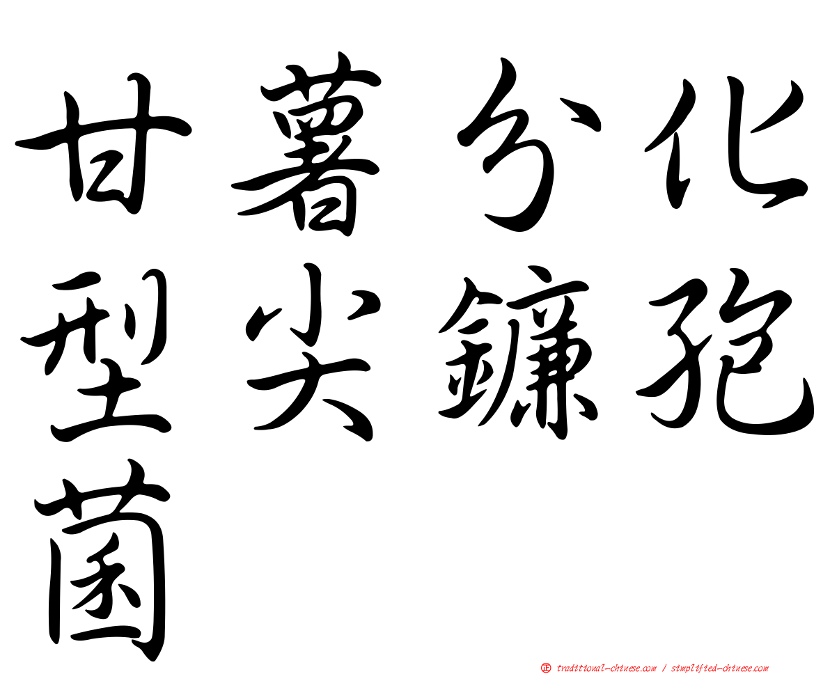 甘薯分化型尖鐮孢菌