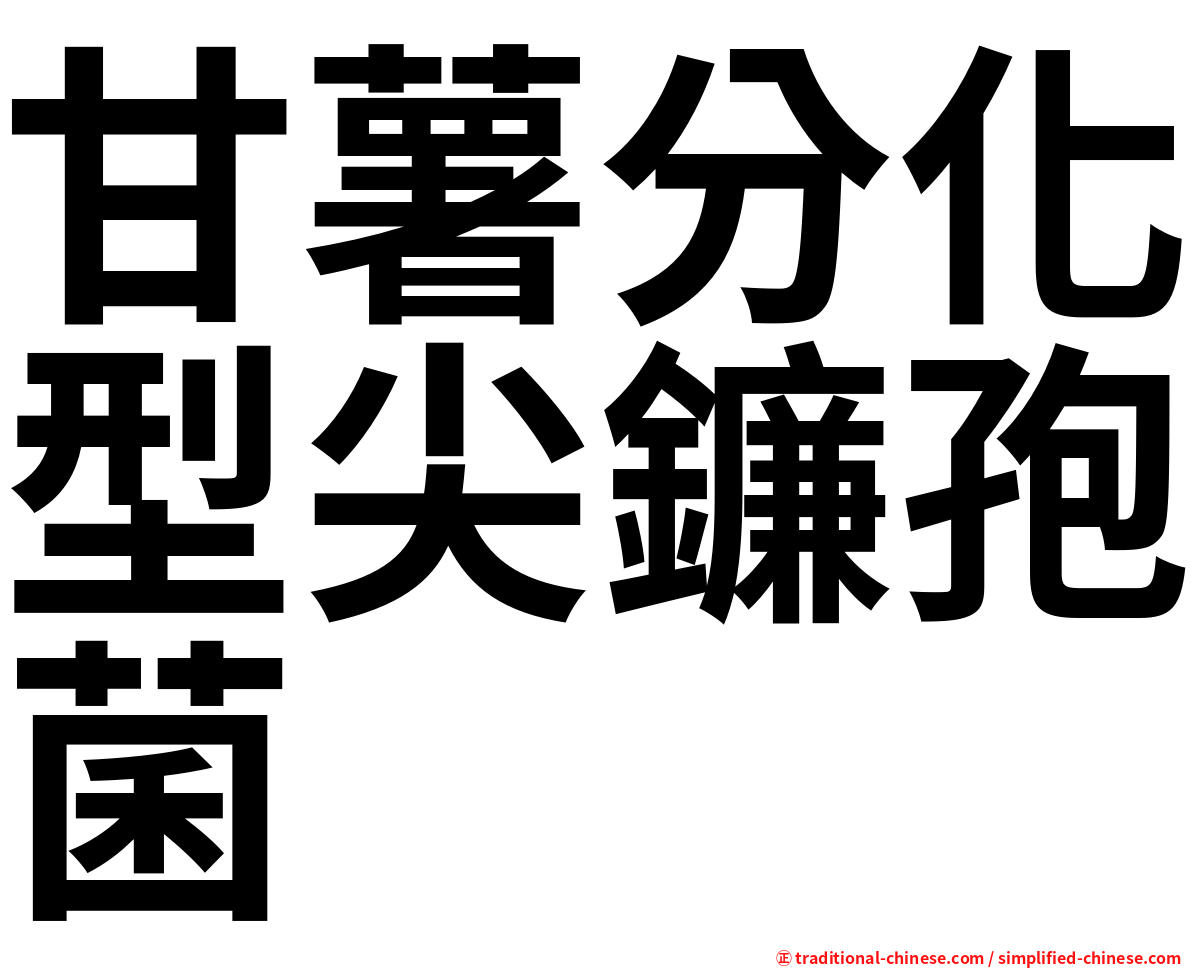 甘薯分化型尖鐮孢菌