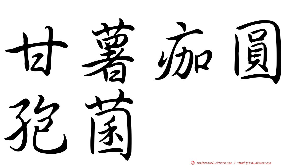 甘薯痂圓孢菌