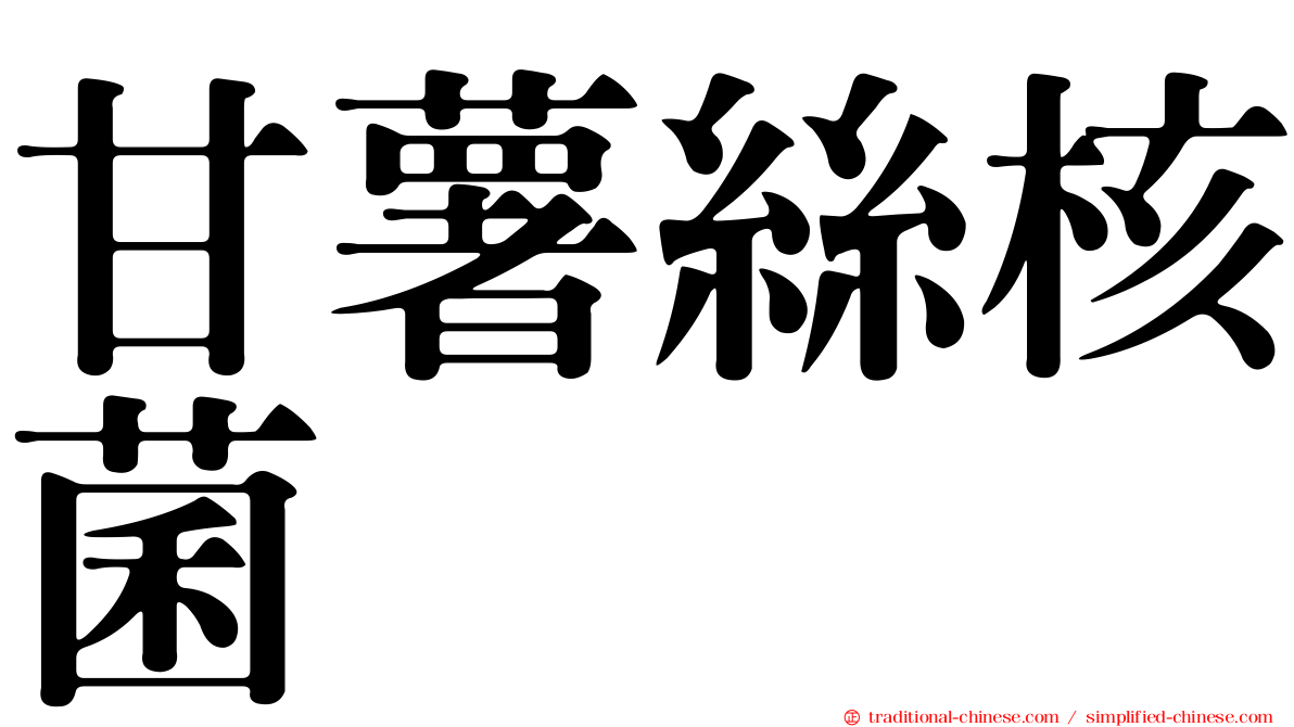 甘薯絲核菌