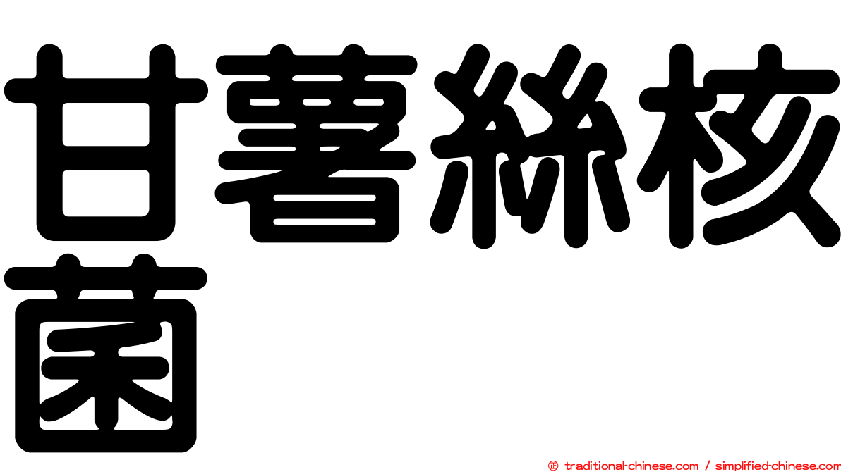 甘薯絲核菌