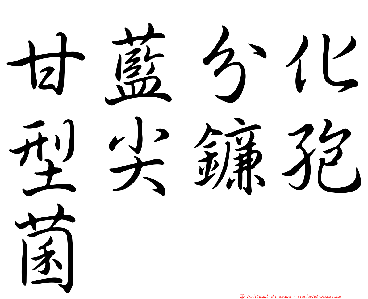 甘藍分化型尖鐮孢菌