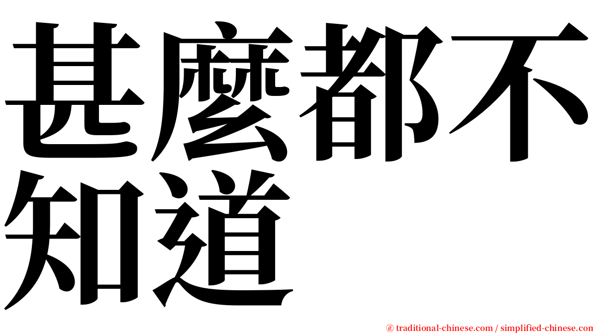 甚麼都不知道 serif font