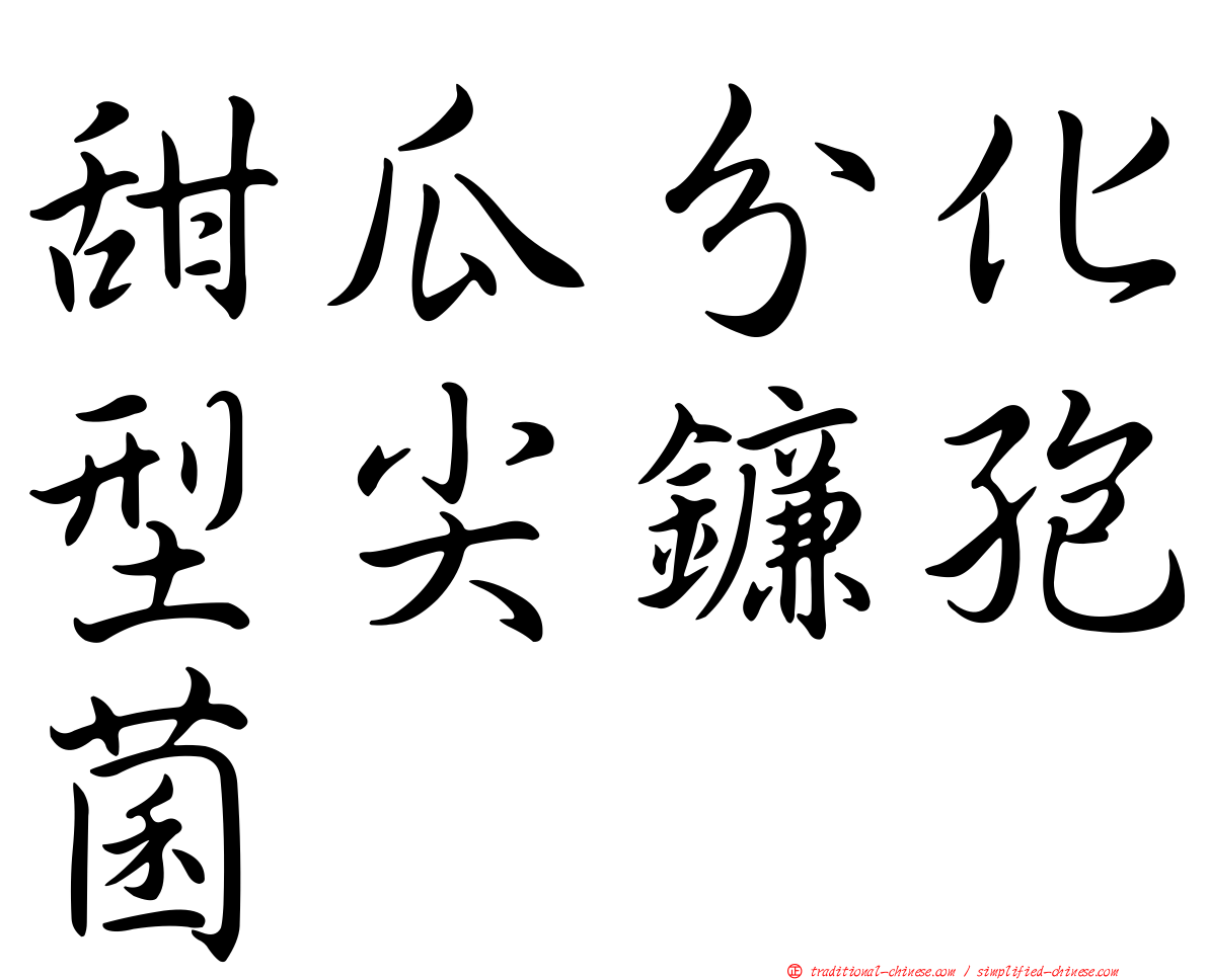 甜瓜分化型尖鐮孢菌