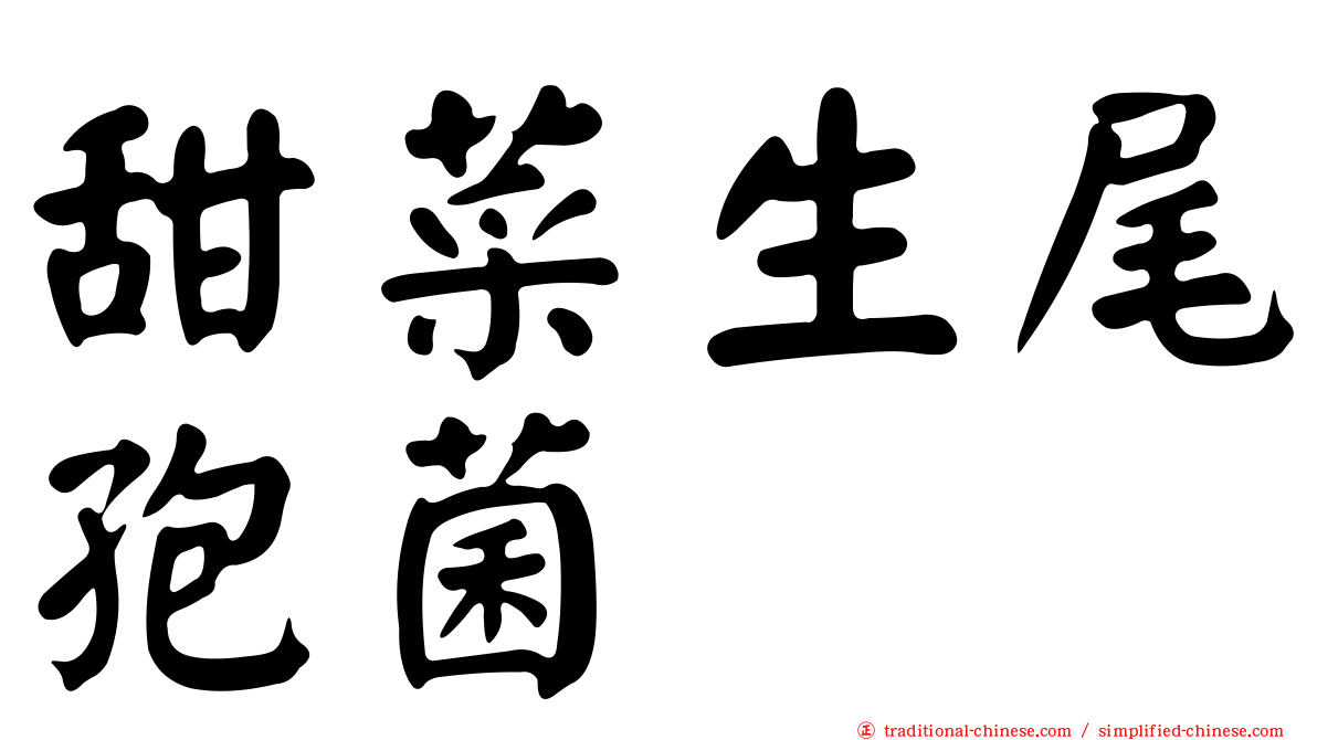 甜菜生尾孢菌