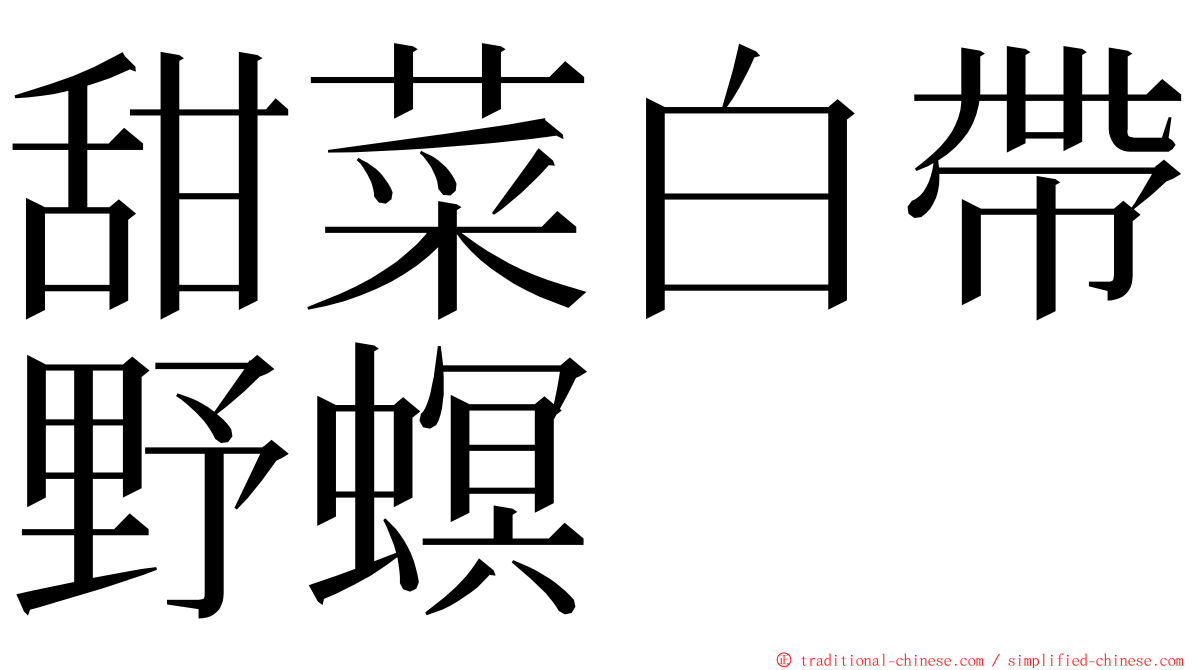 甜菜白帶野螟 ming font