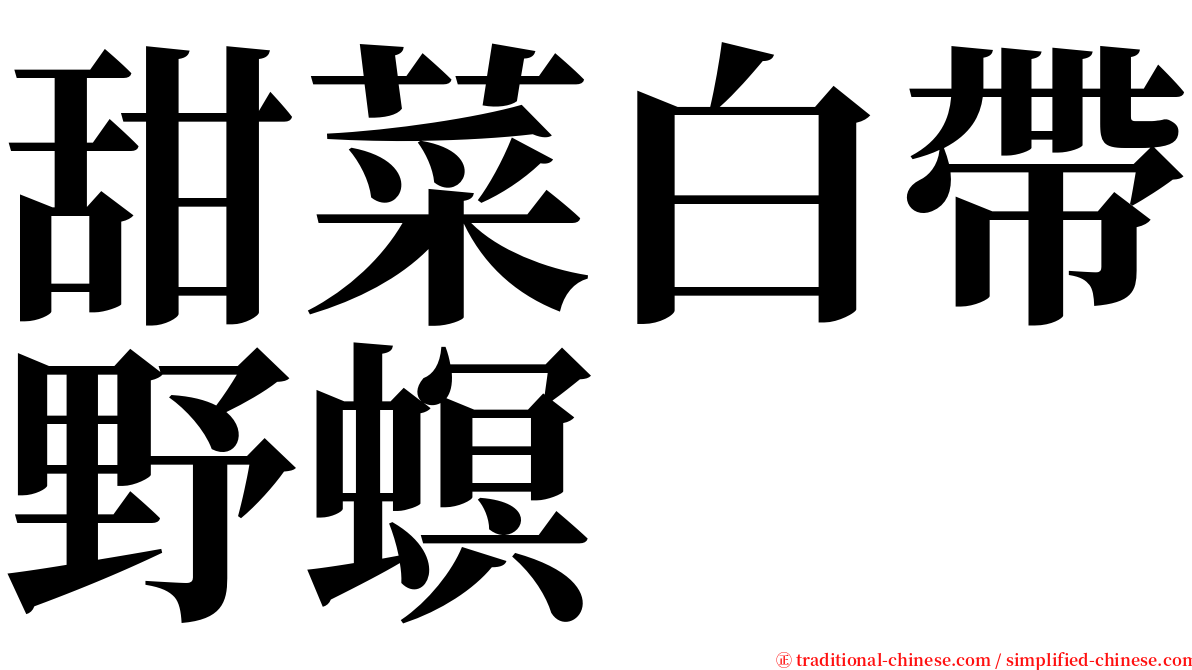 甜菜白帶野螟 serif font