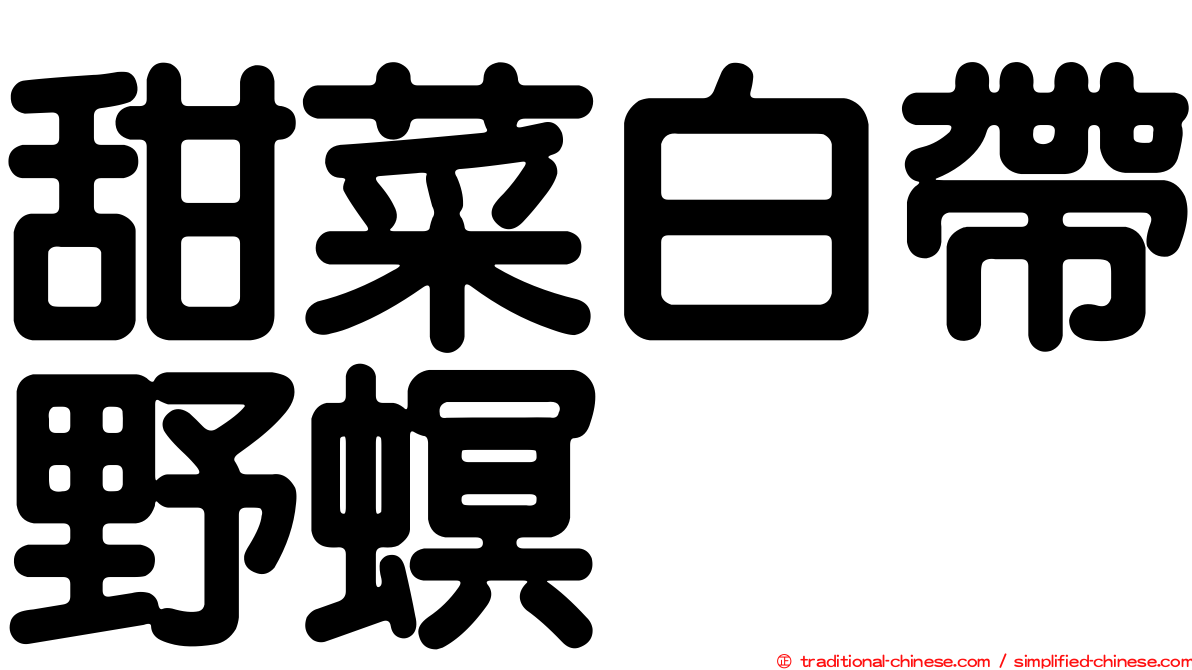 甜菜白帶野螟