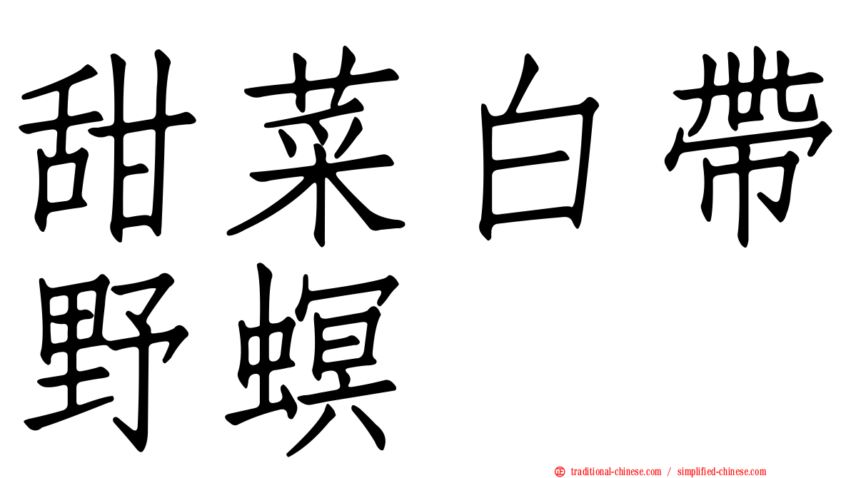 甜菜白帶野螟