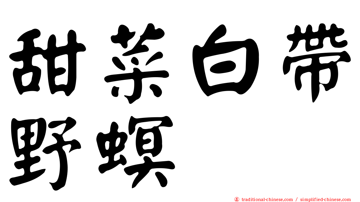 甜菜白帶野螟
