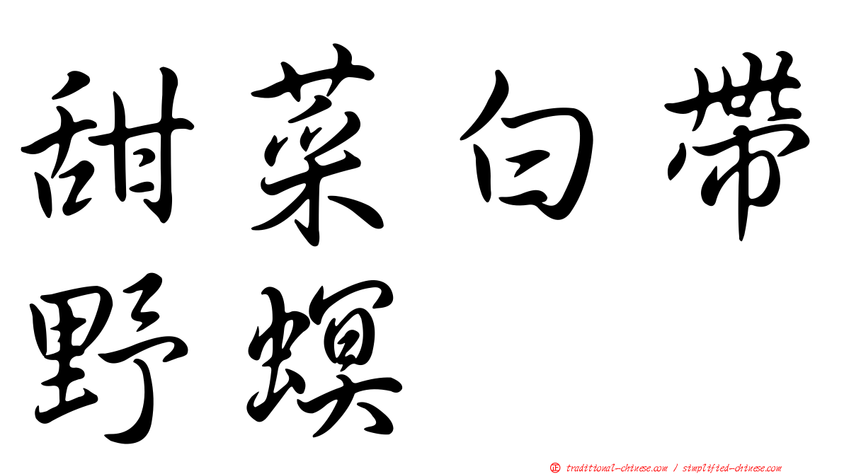 甜菜白帶野螟
