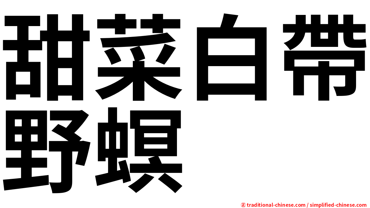 甜菜白帶野螟