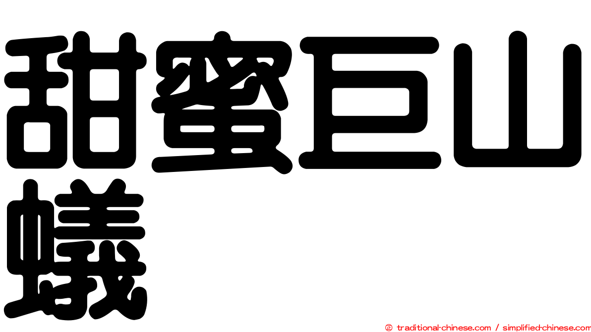 甜蜜巨山蟻