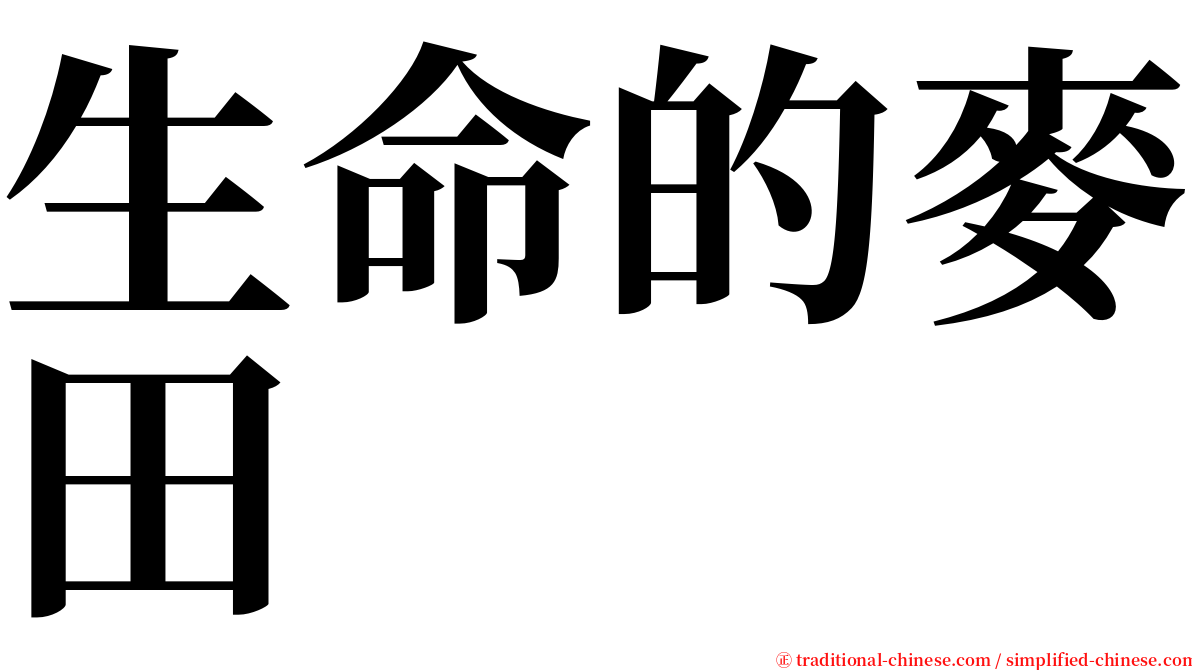 生命的麥田 serif font