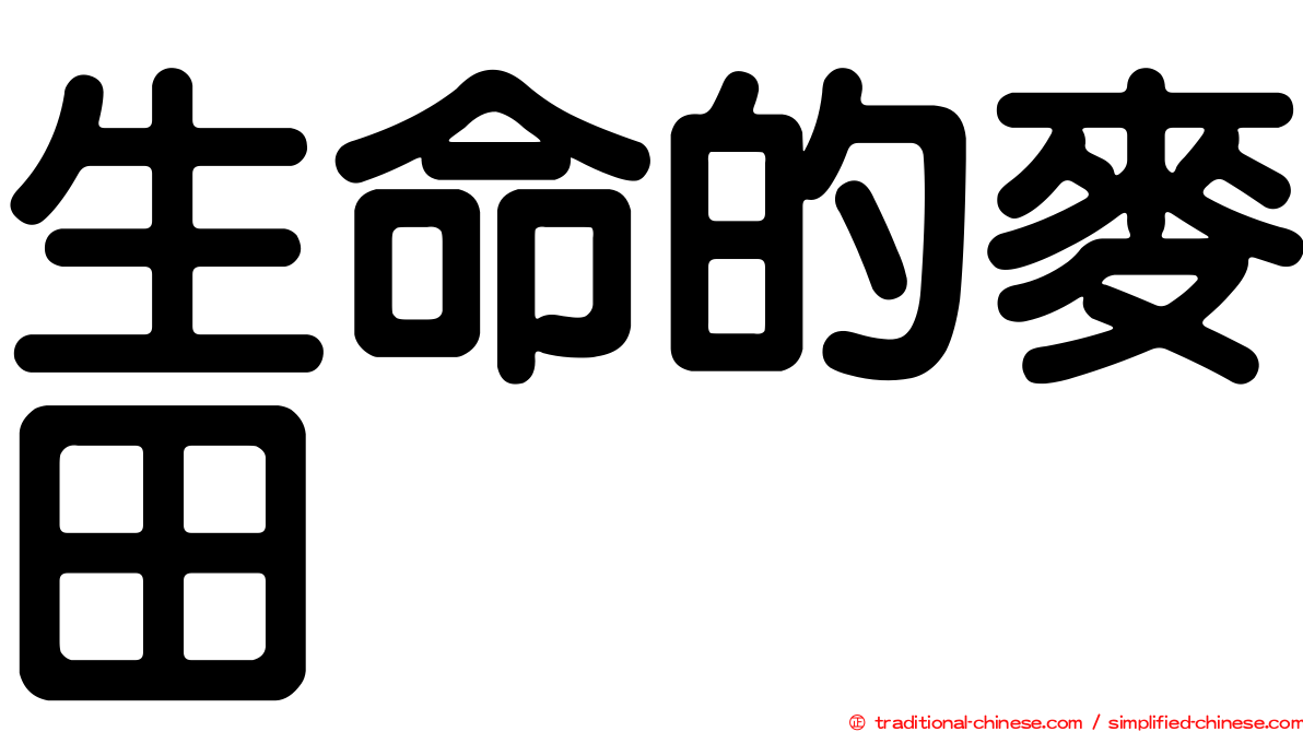 生命的麥田