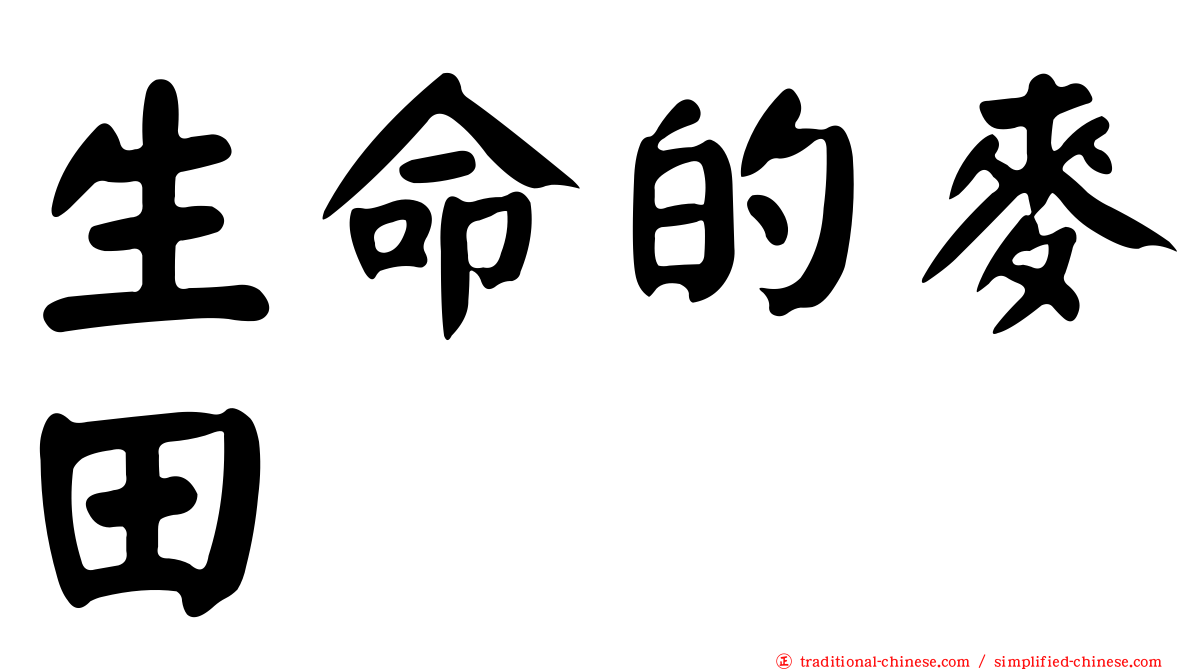 生命的麥田